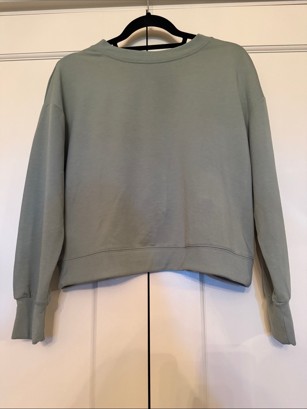 Classic Crewneck Sweatshirt in Sage Green